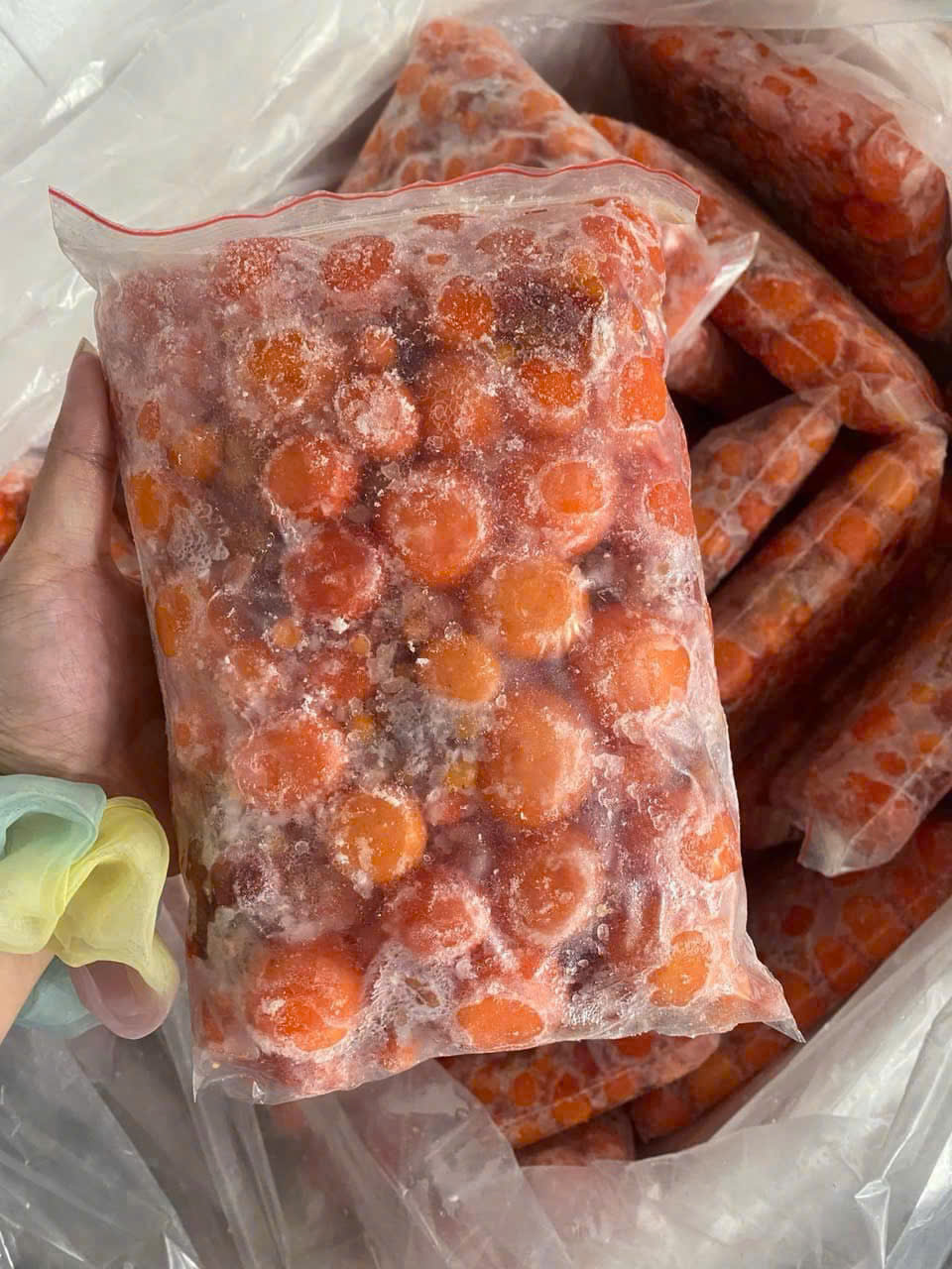 Trứng non đỏ túi zip loại 1