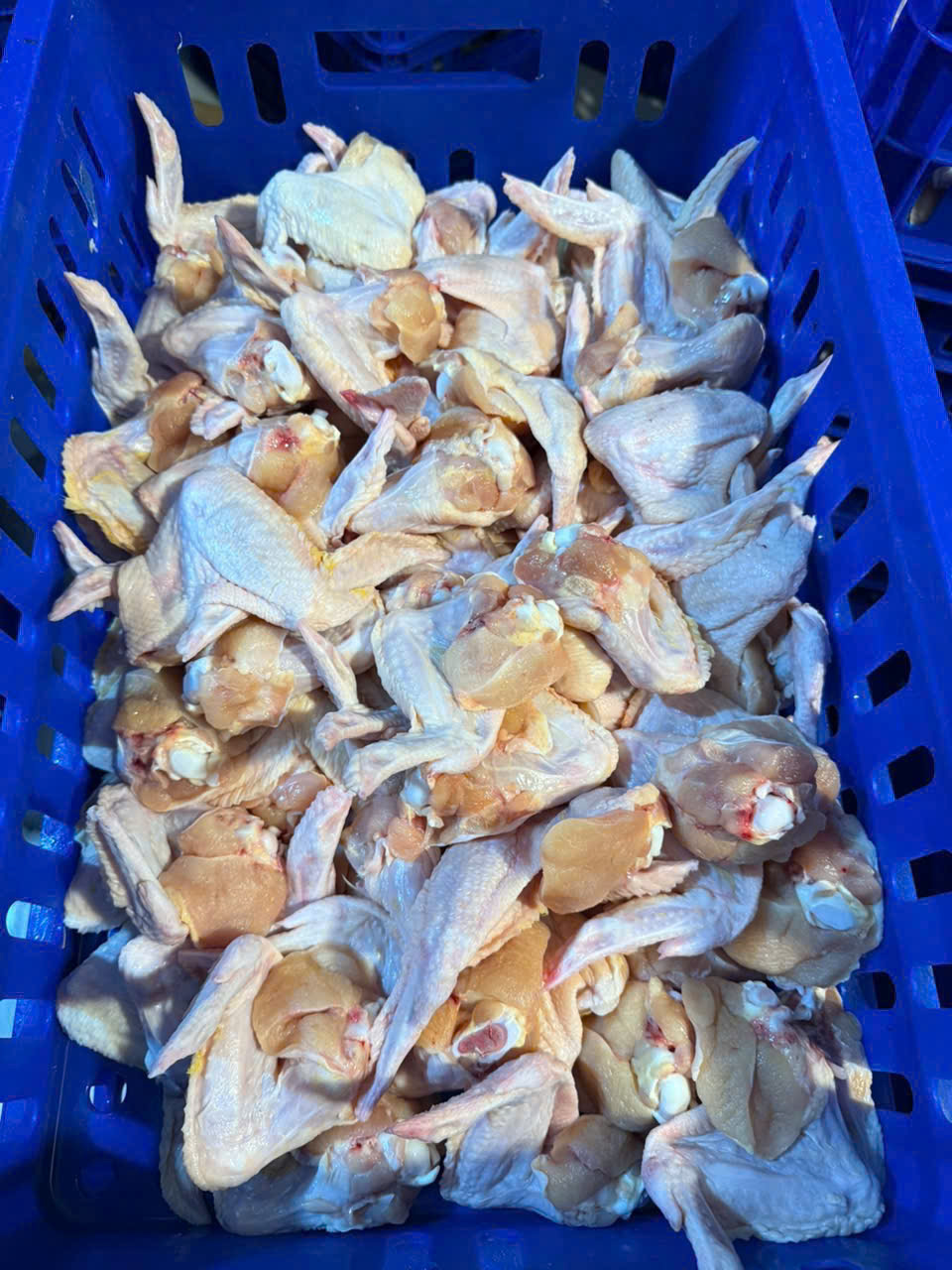 Cánh gà nguyên cái loại 1