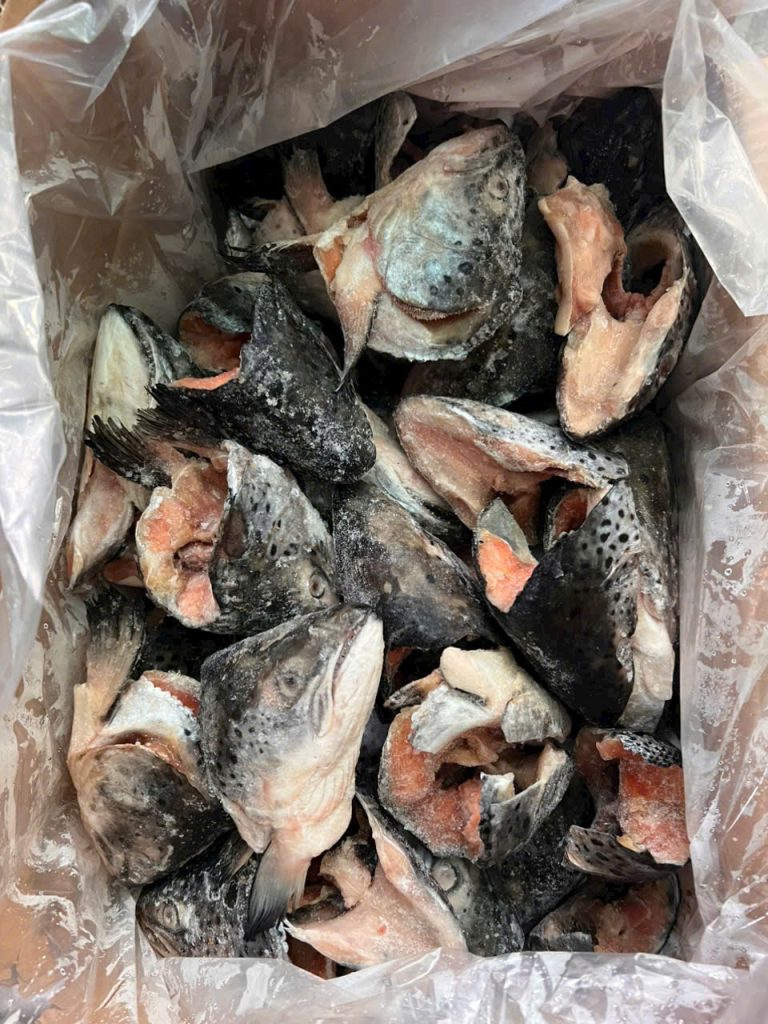 Đầu cá hồi NK
